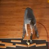 Is Hardwood Flooring Right for You?