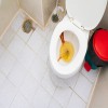 Removing Rust Stains From Toilets, Tubs, and Sinks