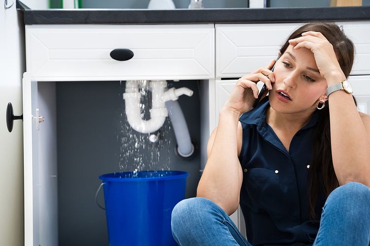 Plumber in McCandless, PA